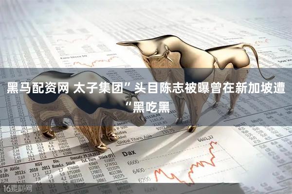 黑马配资网 太子集团”头目陈志被曝曾在新加坡遭“黑吃黑