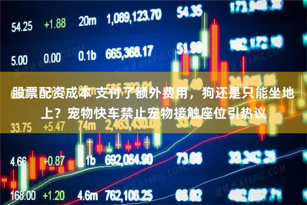 股票配资成本 支付了额外费用，狗还是只能坐地上？宠物快车禁止宠物接触座位引热议